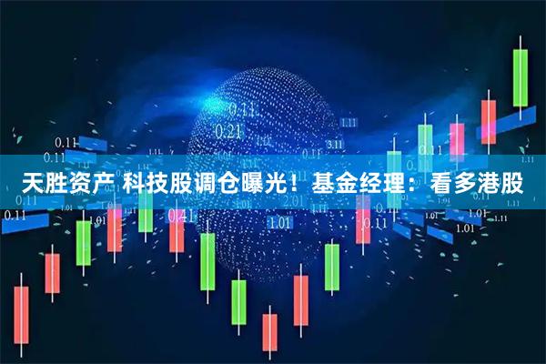 天胜资产 科技股调仓曝光！基金经理：看多港股