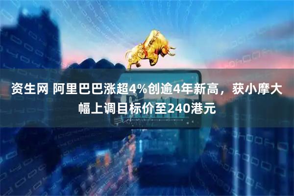 资生网 阿里巴巴涨超4%创逾4年新高，获小摩大幅上调目标价至240港元