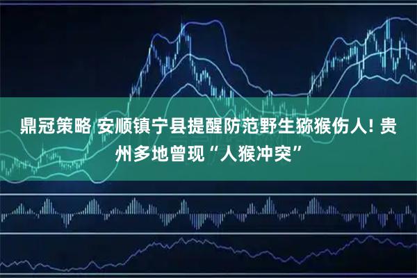 鼎冠策略 安顺镇宁县提醒防范野生猕猴伤人! 贵州多地曾现“人猴冲突”