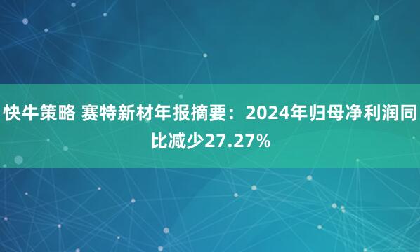 快牛策略 赛特新材年报摘要:2024年归母净利润同比减少27.27%